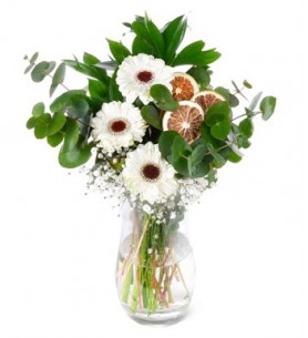 beyaz gerbera cam vazoda 